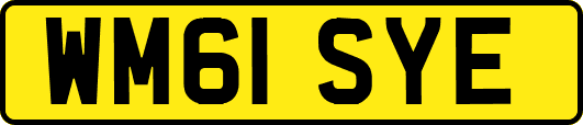 WM61SYE