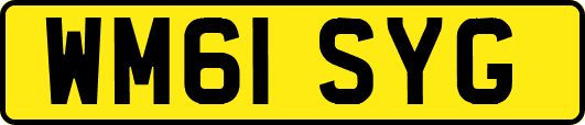 WM61SYG