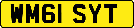 WM61SYT