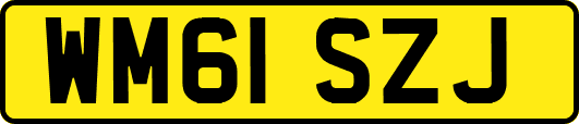 WM61SZJ