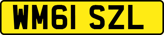 WM61SZL