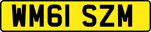 WM61SZM