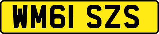 WM61SZS