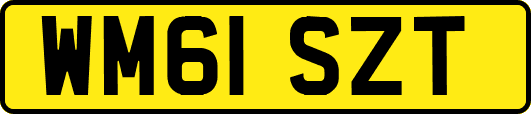 WM61SZT