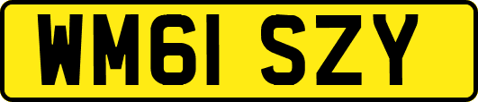 WM61SZY