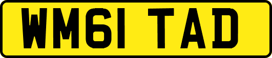 WM61TAD