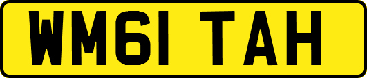 WM61TAH