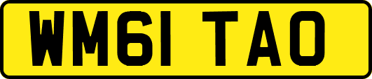 WM61TAO
