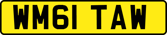 WM61TAW