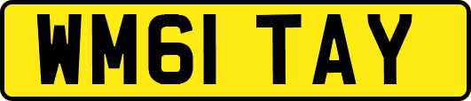 WM61TAY