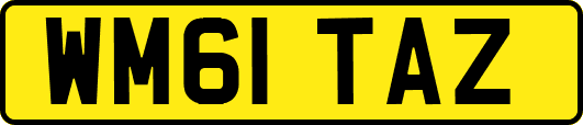 WM61TAZ