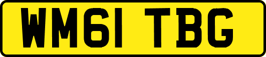WM61TBG