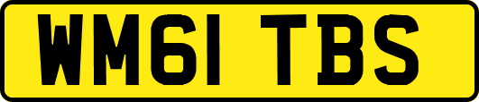WM61TBS