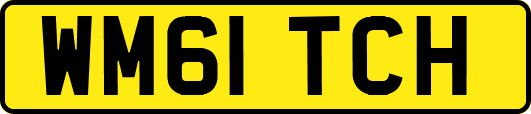 WM61TCH