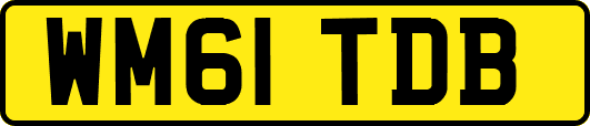 WM61TDB