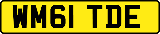 WM61TDE