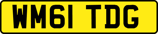 WM61TDG