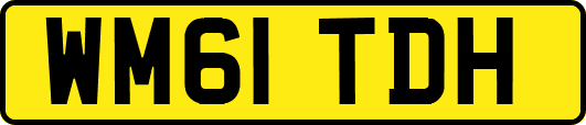 WM61TDH