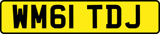WM61TDJ
