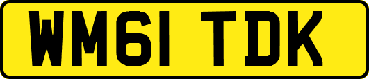 WM61TDK