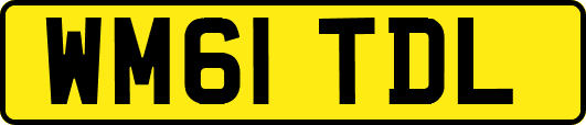 WM61TDL