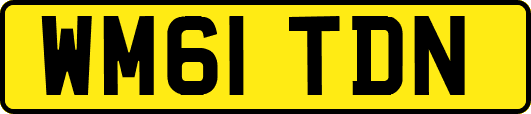 WM61TDN