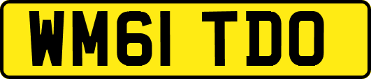 WM61TDO