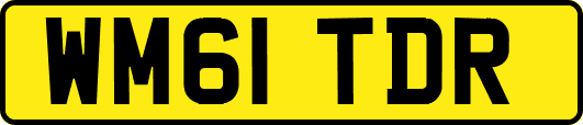 WM61TDR