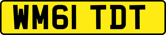 WM61TDT