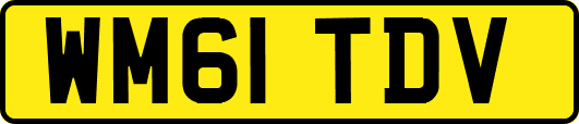 WM61TDV