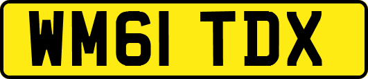 WM61TDX
