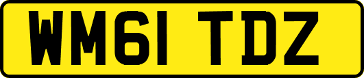WM61TDZ