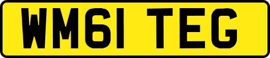 WM61TEG