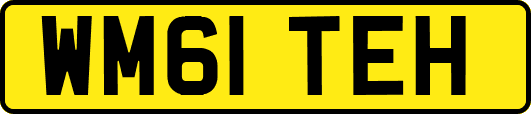 WM61TEH