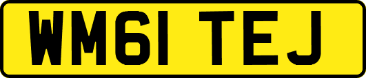 WM61TEJ