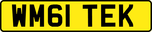 WM61TEK