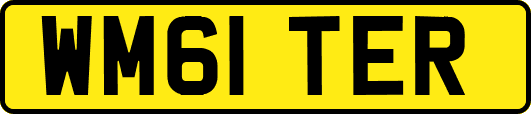 WM61TER