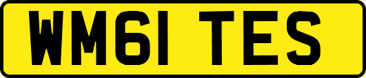 WM61TES