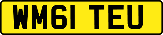 WM61TEU