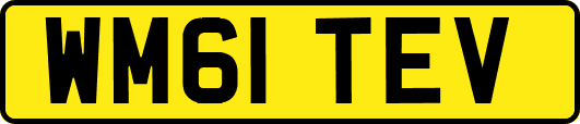 WM61TEV