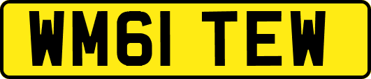 WM61TEW