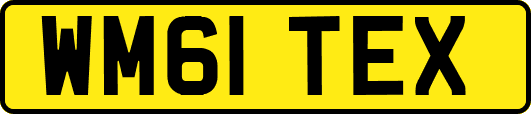 WM61TEX