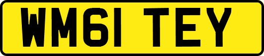 WM61TEY