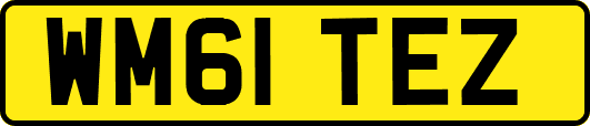 WM61TEZ