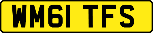 WM61TFS