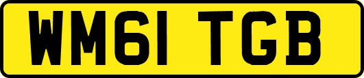 WM61TGB