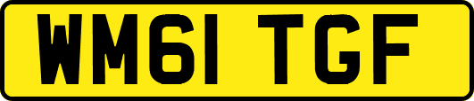 WM61TGF