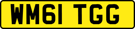 WM61TGG
