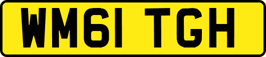 WM61TGH