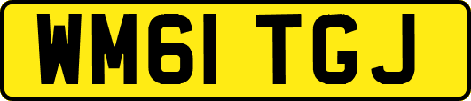 WM61TGJ